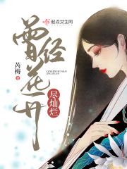 曾经灿烂过
