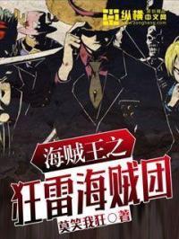 海贼王之狂热时代