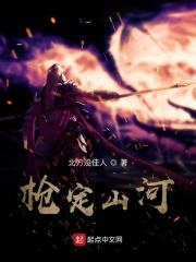 电视剧一枪定山河