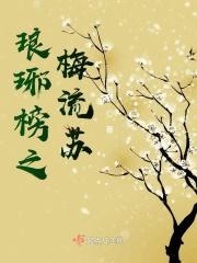 琅琊榜梅长苏视频