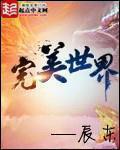 完美世界女主