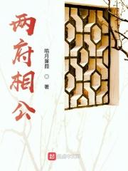 两个相公