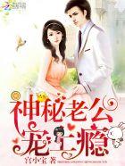 神秘老公宠妻要给力 - 最新章节免费读全文免费