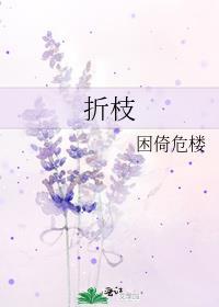 折枝阿司匹林全文免费阅读