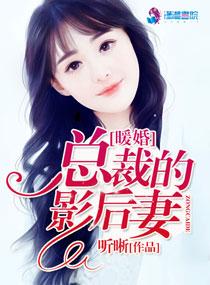 总裁的隐婚暖妻完整版