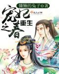 重生宠妃肉宠文