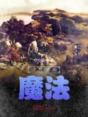 魔法指的是什么