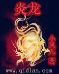 炎龙骑士团2