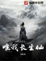 唯我仙缘境界划分