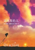 追风筝的人好句