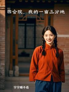 一亩地的四合院多少钱