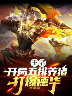 王者打养猪流什么意思