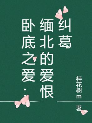 电祝剧卧底
