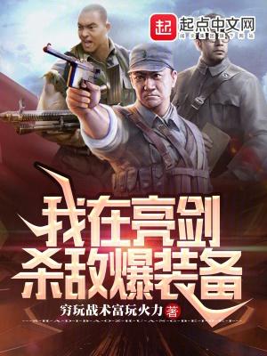 我在亮剑杀敌爆装备zw