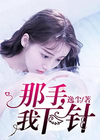 金针炙针什么价格
