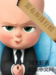 雷布斯语录