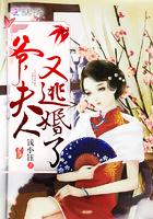 夫人又逃婚了完整版