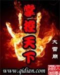 掌御天下简介