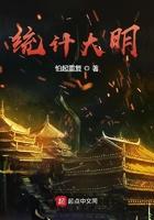 统计大明123