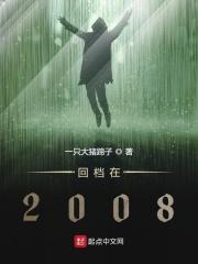 回档在2008免费全文阅读