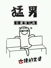 爱情公寓的男人